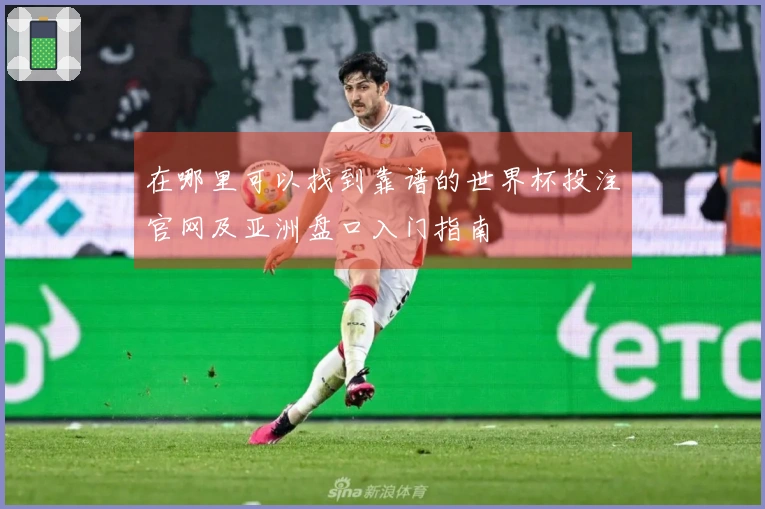 在哪里可以找到靠谱的世界杯投注官网及亚洲盘口入门指南