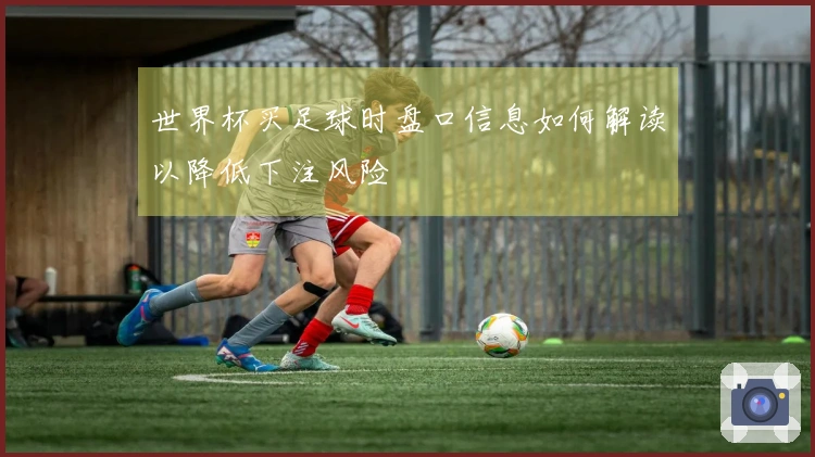 世界杯买足球时盘口信息如何解读以降低下注风险
