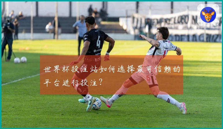 世界杯投注站如何选择最可信赖的平台进行投注？